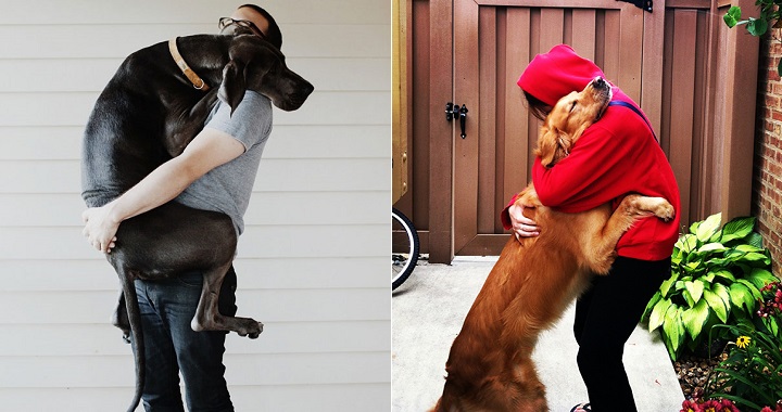 fotos perros abrazando humanos