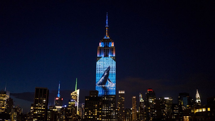 Empire State Racing Extinction 1